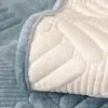 Sandalye Nordic Sofa Yastığı Kapakları Basit Modern Kristal Velvet Kalıp Olmayan Kanepe Kumaş Kış Kısa Peluş Kalınlaştırılmış Kapak Havlusu