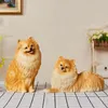 Dekorativa figurer Pomeranian Sculpture Simulation Dog Cute Puppy Staty Creative Animal Home Decor Harts Living Room Decorations