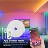 Strip Light Bluetooth-compatibele app-besturingselement opladen Dimbare waterdichte decoratie EU-plug Smart Life RGB Neon Sign Tape