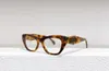 19w Glasses Eyeglass Frames Optical Eyewear Black Spectacles Frame Hot Clear Lens Women Fashion Sunglasses Frames with Box