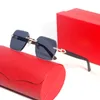 Lunettes de soleil vintage surdimensionnées pour femmes Mens Frag GRAND Grand cadre sans bordure de luxe Designer Shades Carti Sun Glanges Brand Eyewear Polarise Eyeglass Lunettes