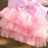 Abbigliamento per cani primavera estate Bowknot Costume per animali domestici Abito da principessa Abito a strisce per gatti Tutu per feste di nozze Gonna per cani