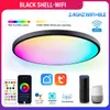 Smart WIFI LED Rotonda Plafoniera RGBCW Dimmerabile TUYA APP Compatibile con Alexa Google Home Camera da letto Soggiorno Lampade da camera circolari ambientali