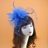 Headpieces hoofdbedekking gezicht Veil Hoed vrouwelijke veren haaraccessoires podium gaas feest bruidsjurk Korea Japan zwart wit