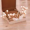 Headpieces Bridal Pearl Crown Princess Verjaardagset trouwjurk accessoires Hoofdkleding feest