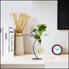 Vaser glas planter bb vas hydroponics med h￥llare f￶r skrivbord hem dekoration modern kreativ f￥gel v￤xt terrarium stand drop leverans otlu