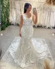 Princess Church Train Mermaid Wedding Dresses 2023 Lace Applique Floral Backless Outdoor Country Garden Bridal Gowns