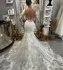 Backless långärmad sjöjungfru bröllopsklänningar 2023 Sheer Neck Pets Floral Applique Fishtail Beach Garden Princess Bridal Gown