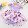 Kız Elbiseler Bebek Parti ve Düğün Prenses Kostüm Dantel Çiçek Çocukları Doğum Giyim Bebek Giyim Yaz