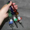 Mini Nectar Pipe hookah Kit 14 mm Dab Straw Oil Rigs Glass Water Pipe Punta de titanio