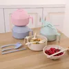 Bowls Bowls Instant Noodles Bowl com capa Anti -Falling Wheat Straw Tableware