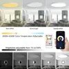 Plafoniera rotonda LED Smart WIFI RGBCW dimmerabile APP TUYA compatibile con Alexa Google Home Camera da letto Soggiorno Luce ambientale