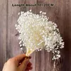 Decorative Flowers 60g Real Natural Fresh Forever Babysbreath Dried Preserved Baby Breath DIY Dry Gypsophile Flower Bouquet For Home Decor