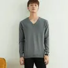 Men's Sweaters Autumn And Winter 2023 Men's V-neck Casual Pullover Fashion Solid Versatile Knitted Undercoat Basic Sweater