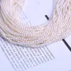 Ketens groothandel 2-3 mm mini kleine natuurlijke rijstvorm parel ketting streng touw 10 stks/lot