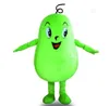 Factory sale Winter Melon Mascot Costumes Fancy Party Dress Cartoon Character Outfit Suit Adults Size Carnival Easter Advertising Theme Clothing