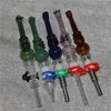 Mini Nectar Pipe hookah Kit 14mm Dab Straw Oil Rigs Glass Water Pipe Titanium Tip