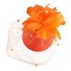 Headpieces Brud Mesh Fascinators For Women EleGannt Hair Acccessories slöjor Party Hat Fancy Feather Flower Headpiece Wedding Net Headwear