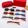 Carti glasses purple lens designer sunglasses woman sunglass square frame Leopard Head wood trend Luxury eyeglasses sport eyewear panther Fashion casual frame