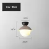 Światła sufitowe Dom LED LED Lampa wystrojowa do salonu do sypialni Korytarza oświetlenia 110V 220V