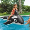 Chaleco salvavidas Boya Suministros de agua Ballena inflable Montaje de delfines Niños Adultos Flotador de agua 213 cm Amigos y fiestas para divertirse T221214