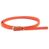 Belts PU Leather Fashion Lightweight Women Belt All Match Clothes Accessories Decorative Casual Slim Fastening Pin Buckle Adjsutable