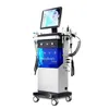 12 en 1 Salon Multifonctionnel Microdermabrasion H2o2 Eau Oxygène Jet Peel Soins Du Visage Hydra dermabrasion machine