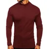 Men's Sweaters Men's High Collar Thin Velvet Bottoming Shirt Solid Brown Black White Winter Plush Long Sleeved Gray Blue T-shirt For Men