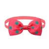 Pet Dog Cat Dot Necklace حزام قابل للتعديل للقطط اليطانية الكلاب الملحقات Pet Dog Bow Ties Puppy Dog Pet Supplies 3546 T2