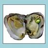 Perla nuove ostriche con perle naturali tinte all'interno del partito in Bk aperto a casa confezionamento sottovuoto Epacket Drop Delivery gioielli Otcby