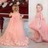 2023 Blush Pink Flower Girls Abiti per matrimoni Collo alto senza maniche Fiore fatto a mano Tulle Compleanno Bambini Ragazza Abiti da spettacolo Hi Lo Lunghezza Sweep Train