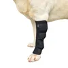 Dog Apparel Pet Leg Knee Protector Injury Anti-lick Joint Sheath Breathable Fixed Recovery Protective Accessories