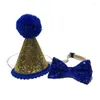 Vêtements de chien anniversaire chapeau d'animal de compagnie chat paillettes casquette de célébration avec bougie rose bleu costume de fête accessoires russes