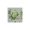 Decorative Flowers Wreaths Artificial Aglaia Odorata Fake Simation Green Plants For Home Desktop Wedding Decoratios Flower Rattan Dhzsi
