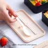 Dijkartikelen Sets Fashion Cover Lunch Box met lepel dubbele laag draagbare magnetron bento gezonde plastic Japanse stijl container