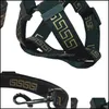 Dog Collars Leashes CollarセットデザイナーハーネスリーシュペットカーシートベルトクラシックブロンズフォントパターンペットスモールミディアムミディアムファーバーDhseu