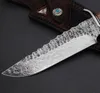 Handgemaakt VG10 Damascus -mes recht mes met lederen omhulsel Camping Outdoor Hunting Tactical Gear Defense Pocket Fixed Blade Knives