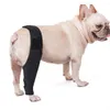 Abbigliamento per cani Ginocchiere per animali domestici Supporto per tutore Protezione per le gambe Lesioni protettive Recupera forniture per cuccioli traspiranti