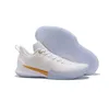 Mamba Fury Focus EP Basketball Shoes 2022 White Field Purple Black Red Bruce Lee te koop Deadstock Discount Sneaker yakuda store