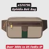 Ophidia Belt Bag 574796 Unisex Women Men Vintage Waist Bumbag with Green Red Strip and Double Letter Hardware Logo325b