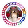 Dog Grooming Bows with Rubber Bands Dogs Topknot Cute Pet Hair Clips Pets Cat Little Flower Bow gifts 36 H1268C