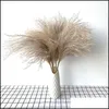 Decorative Flowers Wreaths 8Pcs/10Pcs/20 Pcs Real Dried Small Pampas Grass Wedding Flower Bunch Natural Plants Decor Home Drop Del Ot9Wx