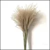 Decorative Flowers Wreaths 8Pcs/10Pcs/20 Pcs Real Dried Small Pampas Grass Wedding Flower Bunch Natural Plants Decor Home Drop Del Ot9Wx