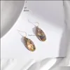 Charm mode akryl abalon skal papper charms ￶rh￤ngen rhinstone guld f￤rg dingle brincos pendientes varum￤rke smycken kvinnor sl￤pp del dhbhu