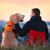 Dog Collars Pet Reflective Nylon Harnessプルなし調整可能な通気性メッシュベスト小さな中程度の大きな犬安全車両のリード