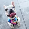 Dog Collars 2022INS Cat Harness Adjustable Vest With Walking Lead Leash For Puppy Dogs Collar Tie Dye Mesh All Size Pet