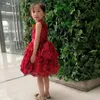Girl Dresses LZC023 Red Wine Sleeveless O Neckline Bow Flower Kids Beauty Pageant