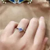 Cluster Rings Natural 925 Silver Women's Ring Inlaid med Tanzanite Exquisite and Fresh Personality Fashion