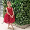 Abiti da ragazza LZC023 Concorso di bellezza per bambini con fiori e scollo a O senza maniche con vino rosso