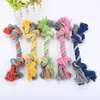 Corde en coton de 18cm, jouet pour chien, chiot, chat, nœud à mâcher, corde en os tressée Durable, nettoyage des dents, jouet molaire, fournitures pour animaux de compagnie, couleur aléatoire